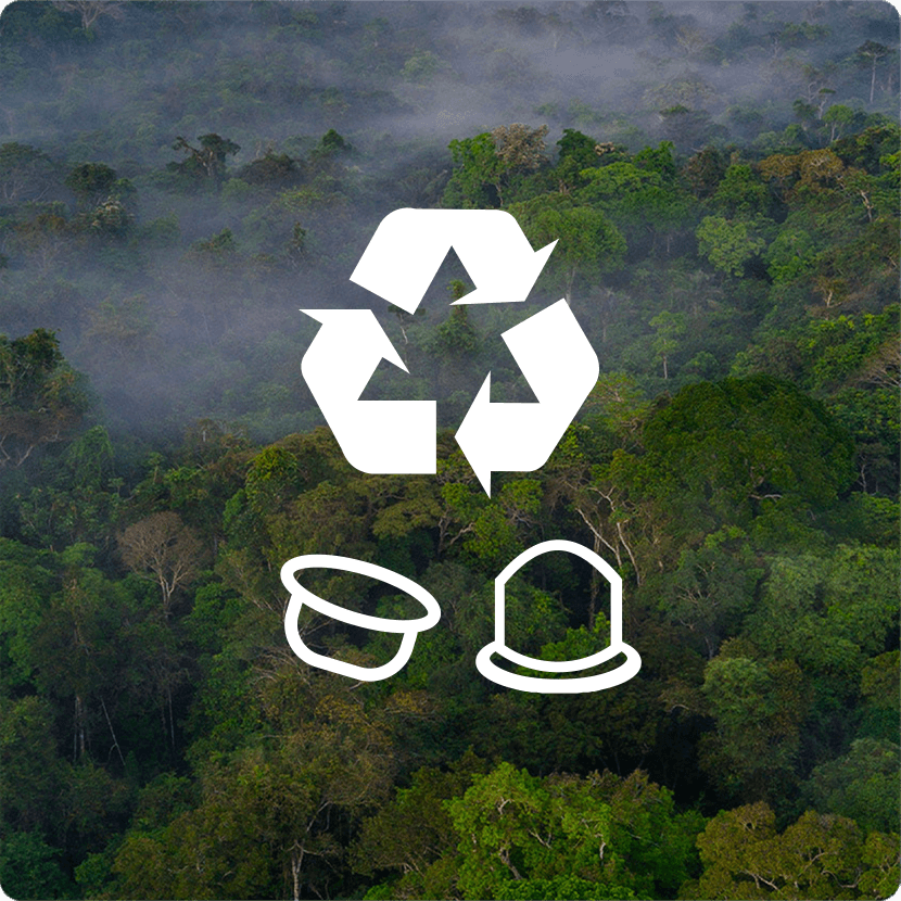 La production et la livraison